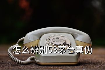 怎么辨别53茅台真伪