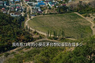 我有瓶73年的小葵花茅台想知道现在值多少