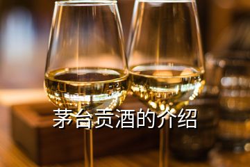 茅台贡酒的介绍