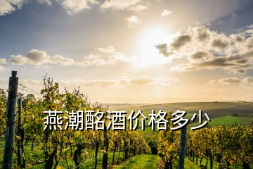 燕潮酩酒价格多少