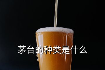 茅台的种类是什么