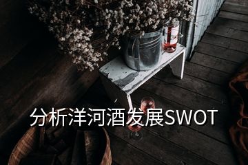 分析洋河酒发展SWOT