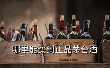 哪里能买到正品茅台酒