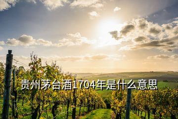 贵州茅台酒1704年是什么意思