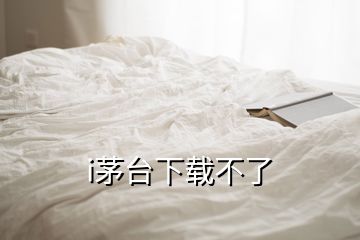 i茅台下载不了