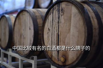 中国比较有名的白酒都是什么牌子的