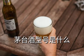 茅台酒型号是什么