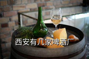 西安有几家啤酒厂