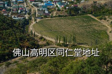 佛山高明区同仁堂地址