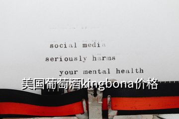 美国葡萄酒kingbona价格