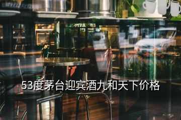 53度茅台迎宾酒九和天下价格