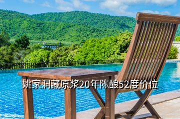 姚家洞藏原浆20年陈酿52度价位