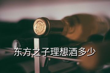 东方之子理想酒多少