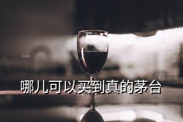 哪儿可以买到真的茅台