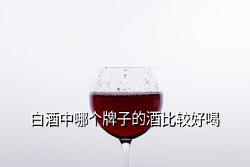 白酒中哪个牌子的酒比较好喝