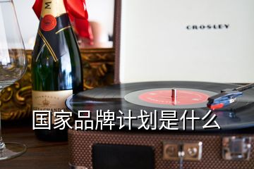 国家品牌计划是什么