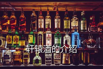 轩辕酒的介绍