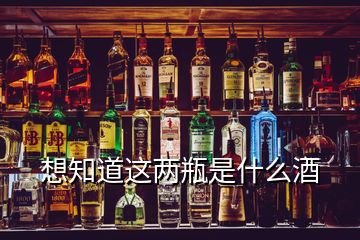 想知道这两瓶是什么酒