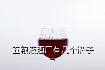 五粮液酒厂有几个牌子