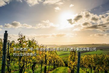 青州老酒厂哪一年改制成山东青州云门酒业集团有限公司的以及具体情况