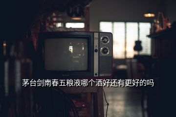 茅台剑南春五粮液哪个酒好还有更好的吗