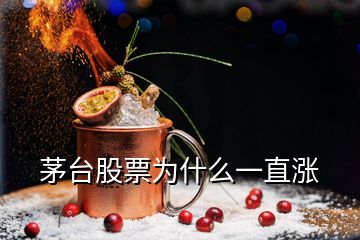 茅台股票为什么一直涨