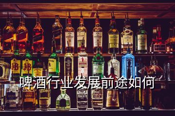 啤酒行业发展前途如何