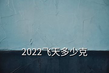 2022飞天多少克