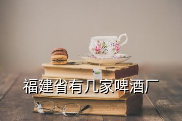 福建省有几家啤酒厂