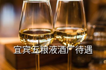 宜宾五粮液酒厂待遇