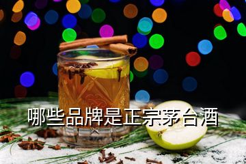 哪些品牌是正宗茅台酒