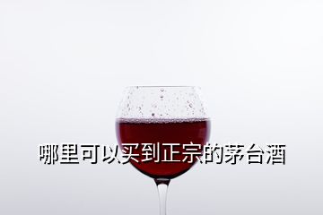 哪里可以买到正宗的茅台酒