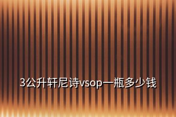 3公升轩尼诗vsop一瓶多少钱