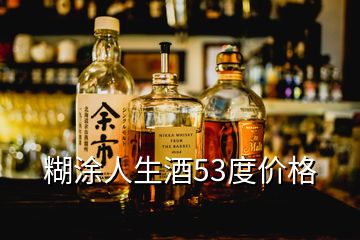 糊涂人生酒53度价格