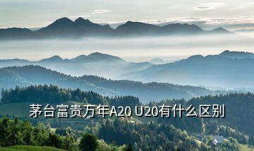 茅台富贵万年A20 U20有什么区别