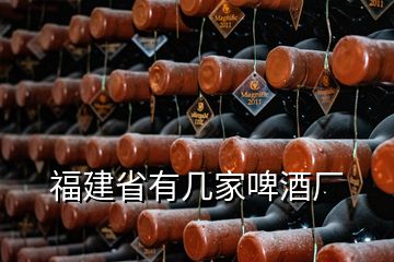 福建省有几家啤酒厂