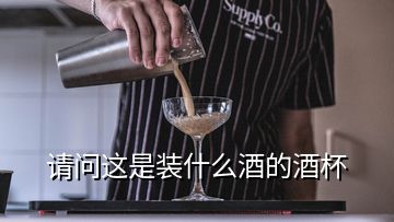 请问这是装什么酒的酒杯