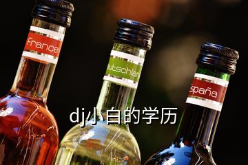 dj小白的学历