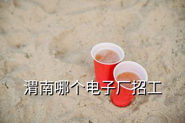 渭南哪个电子厂招工