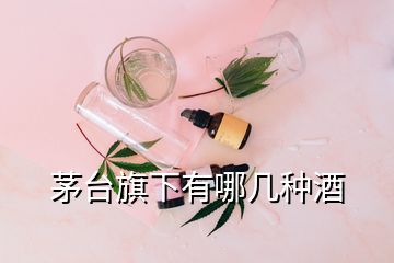 茅台旗下有哪几种酒