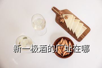 新一极酒的厂址在哪