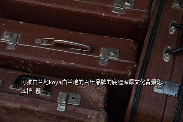 可雅白兰地koya白兰地的百年品牌的底蕴深厚文化背景怎么样  搜