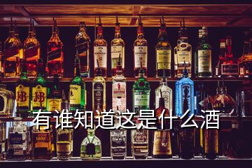 有谁知道这是什么酒