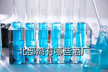 北部湾有哪些酒厂