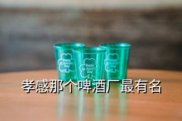 孝感那个啤酒厂最有名