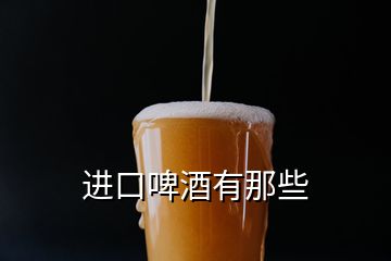 进口啤酒有那些