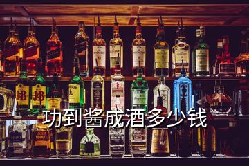 功到酱成酒多少钱