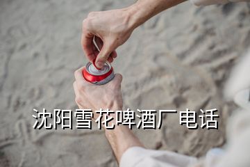 沈阳雪花啤酒厂电话