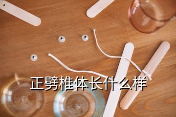 正劈椎体长什么样