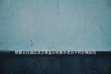 想要买白酒应该去哪里买呢衡水老白干的价格如何